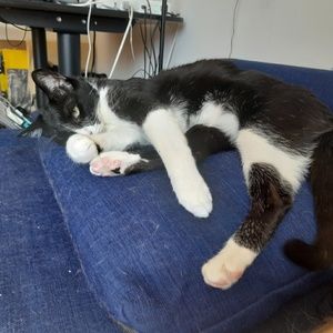 Meet your Posher, Tir